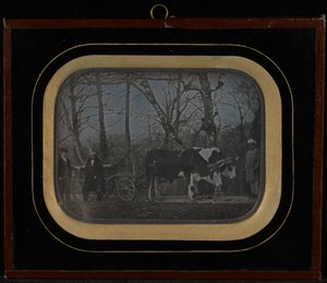 (Jean-Gabriel Eynard med to tjenere og en oksevogn)